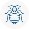 Bed Bug Extermination In Burnage